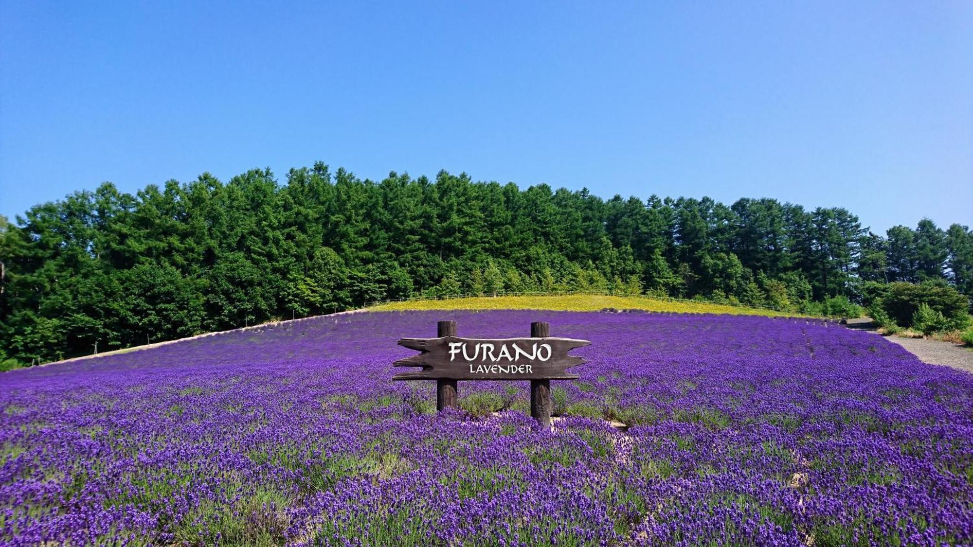 ふ A No 田園 Coterginupri Villa Nakafurano Exteriör bild