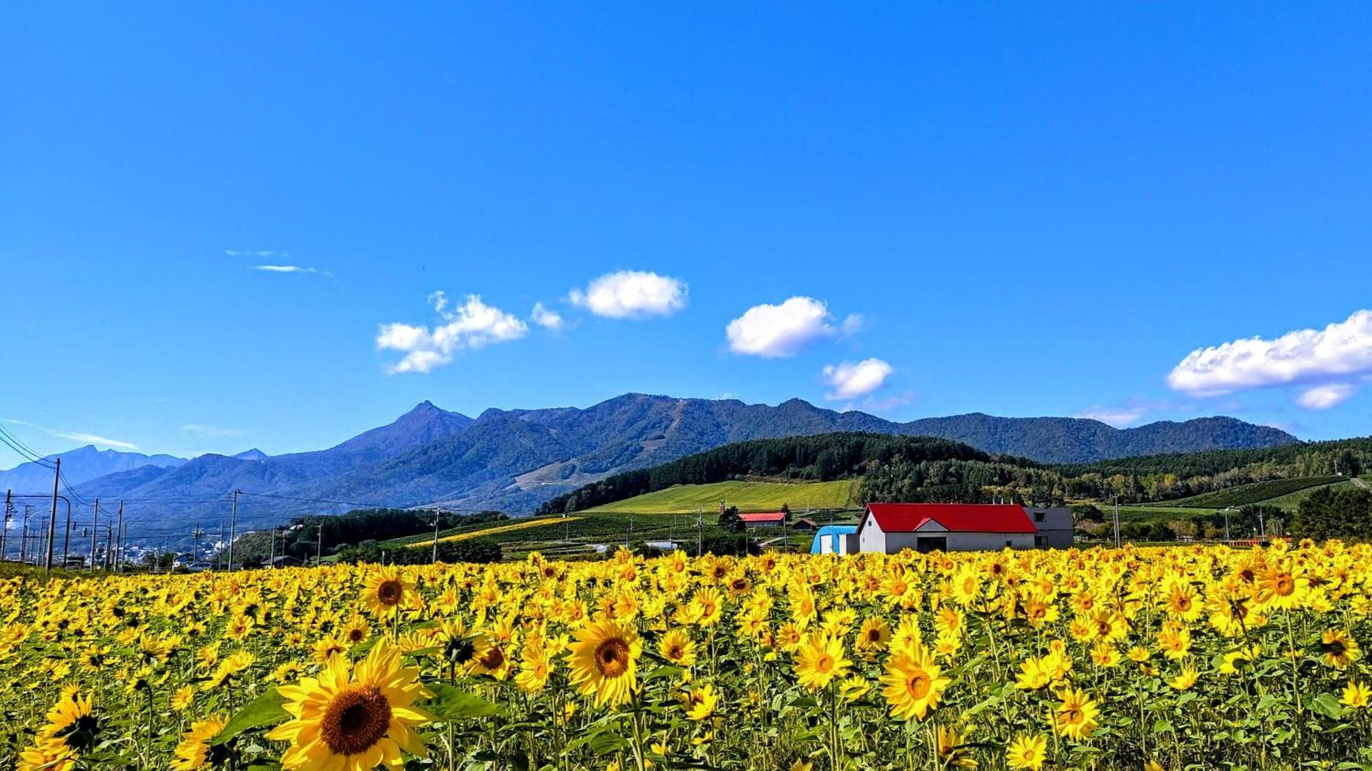 ふ A No 田園 Coterginupri Villa Nakafurano Exteriör bild